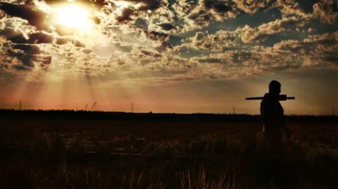 تقرير عن جوجل