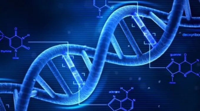 كيف يتم تحليل DNA