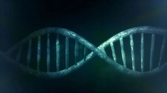 كيف تحدث عملية تضاعف DNA