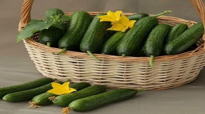 كيف نستفيد من لب الخيار