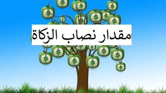 كم مقدار نصاب زكاة المال