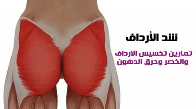 كيف أحرق الدهون في الأرداف