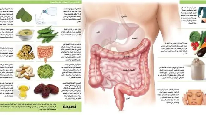 كيف نحافظ على سلامة الجهاز الهضمي