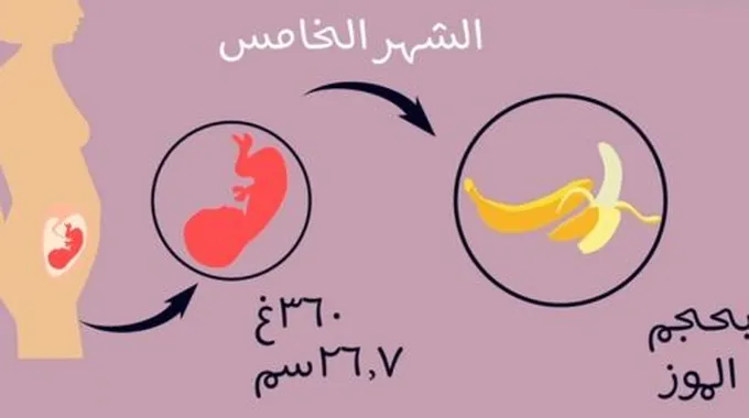 زيادة حركة الجنين في الشهر الخامس