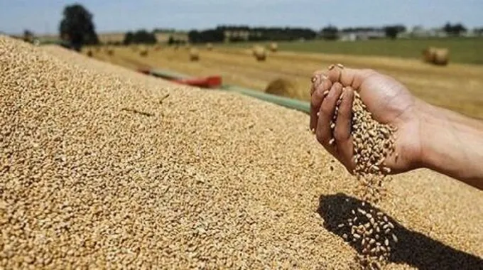 معلومات عن نقص الغذاء