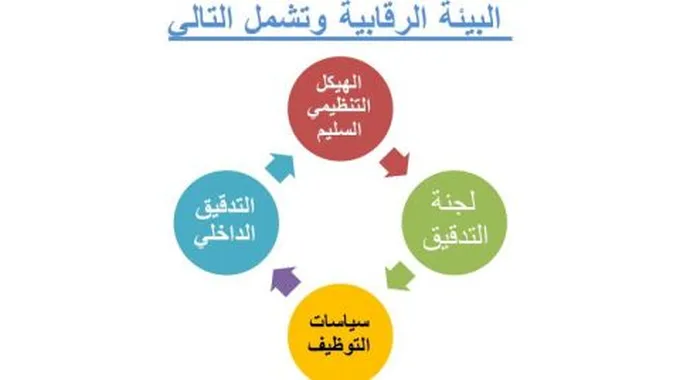 مكونات نظام الرقابة الداخلية