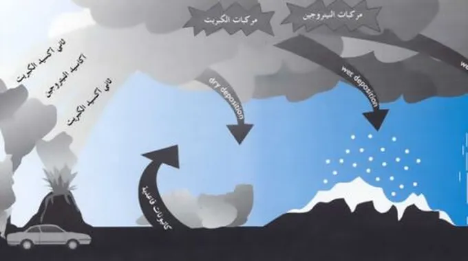 تقرير عن ظاهرة التلوث