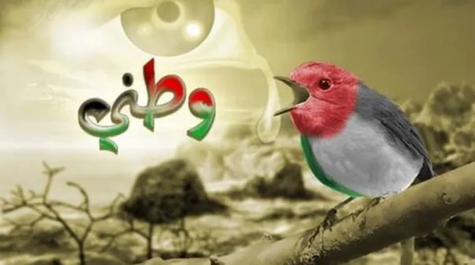 حكم عن الوطن