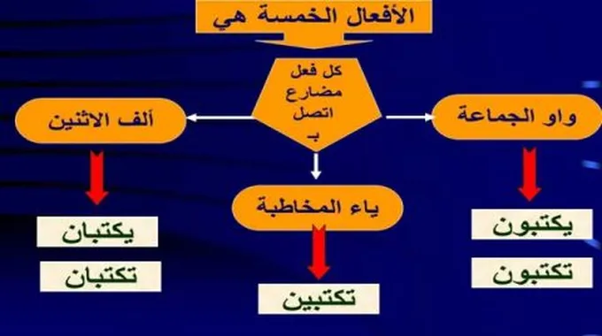 بحث عن الأسماء الخمسة