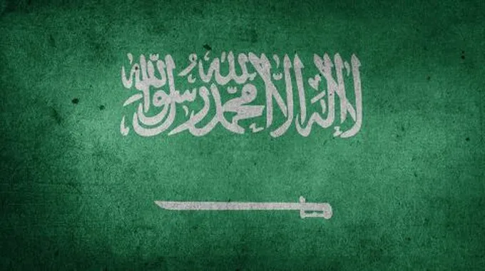 بحث عن دولة السعودية