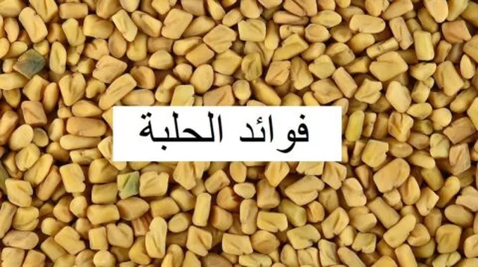 فوائد الحلبة للشعر والجسم