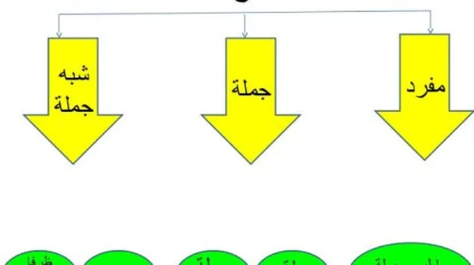 أنواع الخبر في الجملة الإسمية