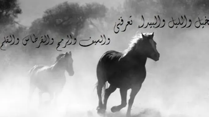 أبيات من شعر المتنبي