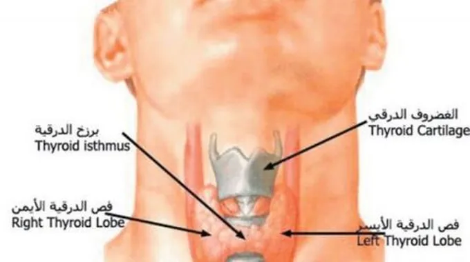 ما هي أعراض الغدة النخامية