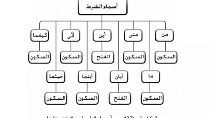 ما هي ادوات الشرط