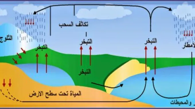 ماذا يطلق على عملية تحول المادة الصلبة إلى سائلة