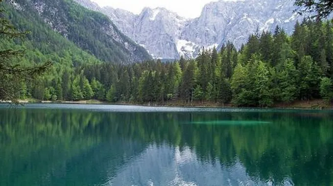 ماذا يطلق على علم الطبيعة