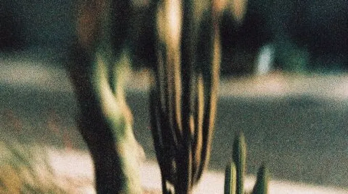 ما المقصود بظاهرة الاحتباس الحراري