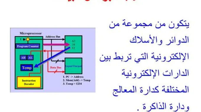 ما الفرق بين المكونات المادية والبرمجية للحاسب