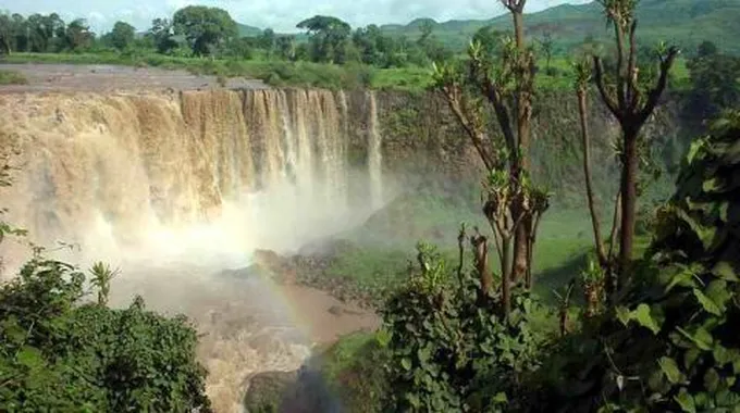 من أين ينبع النيل الأبيض