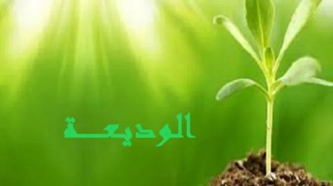 أين تقع الوديعة