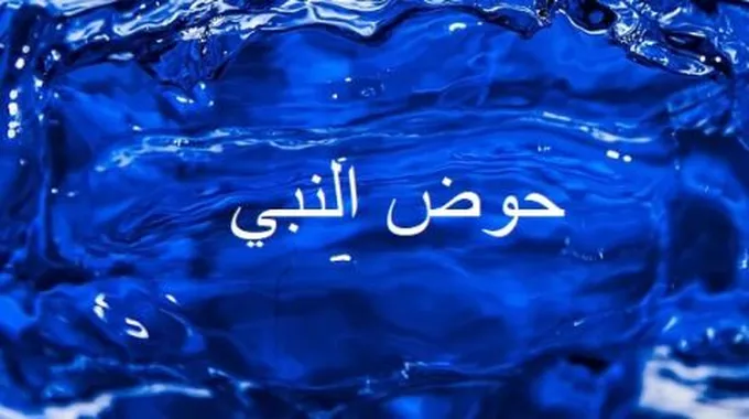 من الذي يشرب من حوض النبي